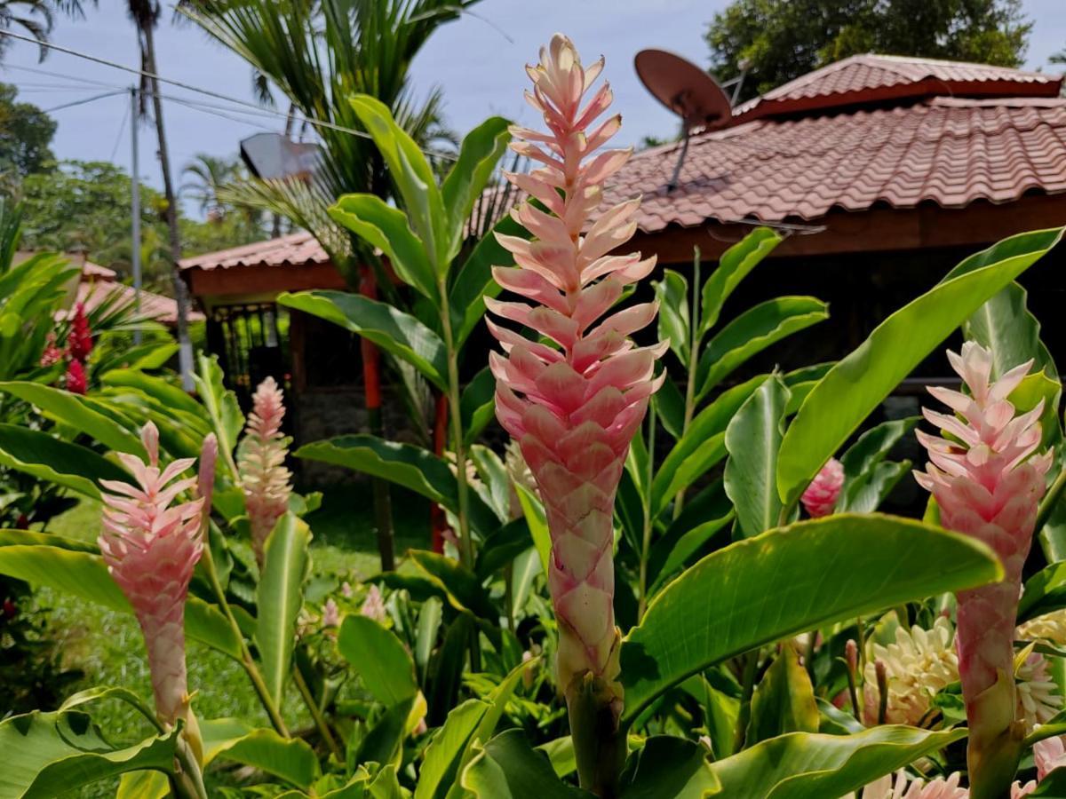 Bungalows Malu Cahuita Ngoại thất bức ảnh