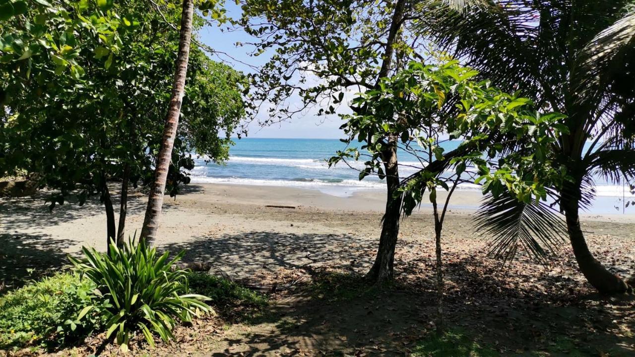 Bungalows Malu Cahuita Ngoại thất bức ảnh